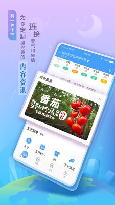 墨迹天气极速版