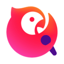 全民k歌手表版下载