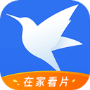 迅雷电影下载