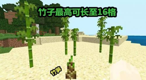 我的世界1.14基岩版