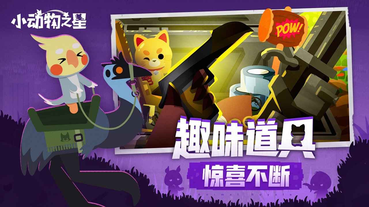 小动物之星安装包