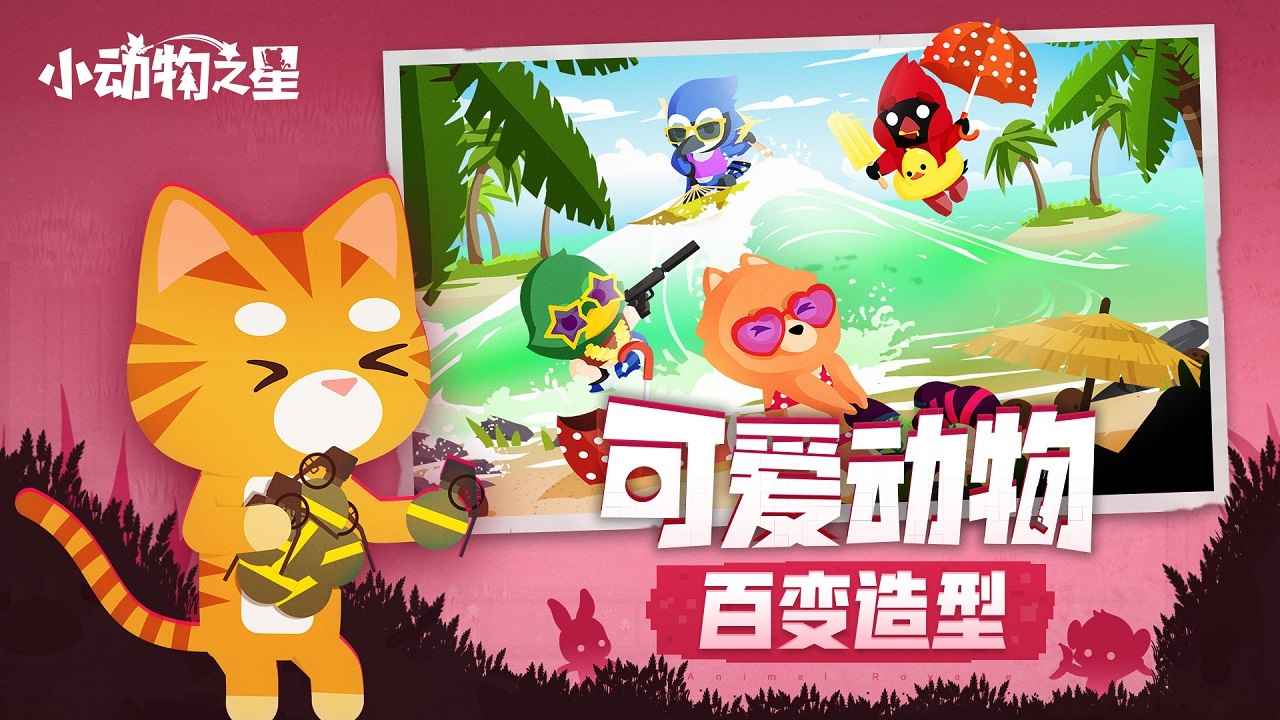 小动物之星安装包