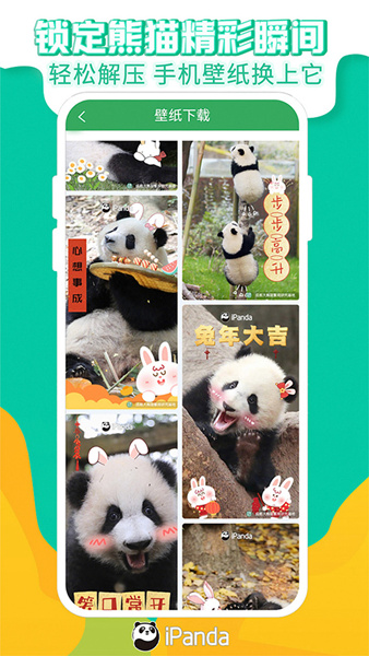 ipanda熊猫频道