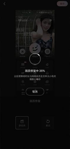 wink软件
