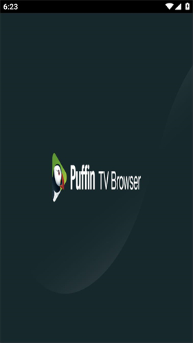 puffin浏览器tv版